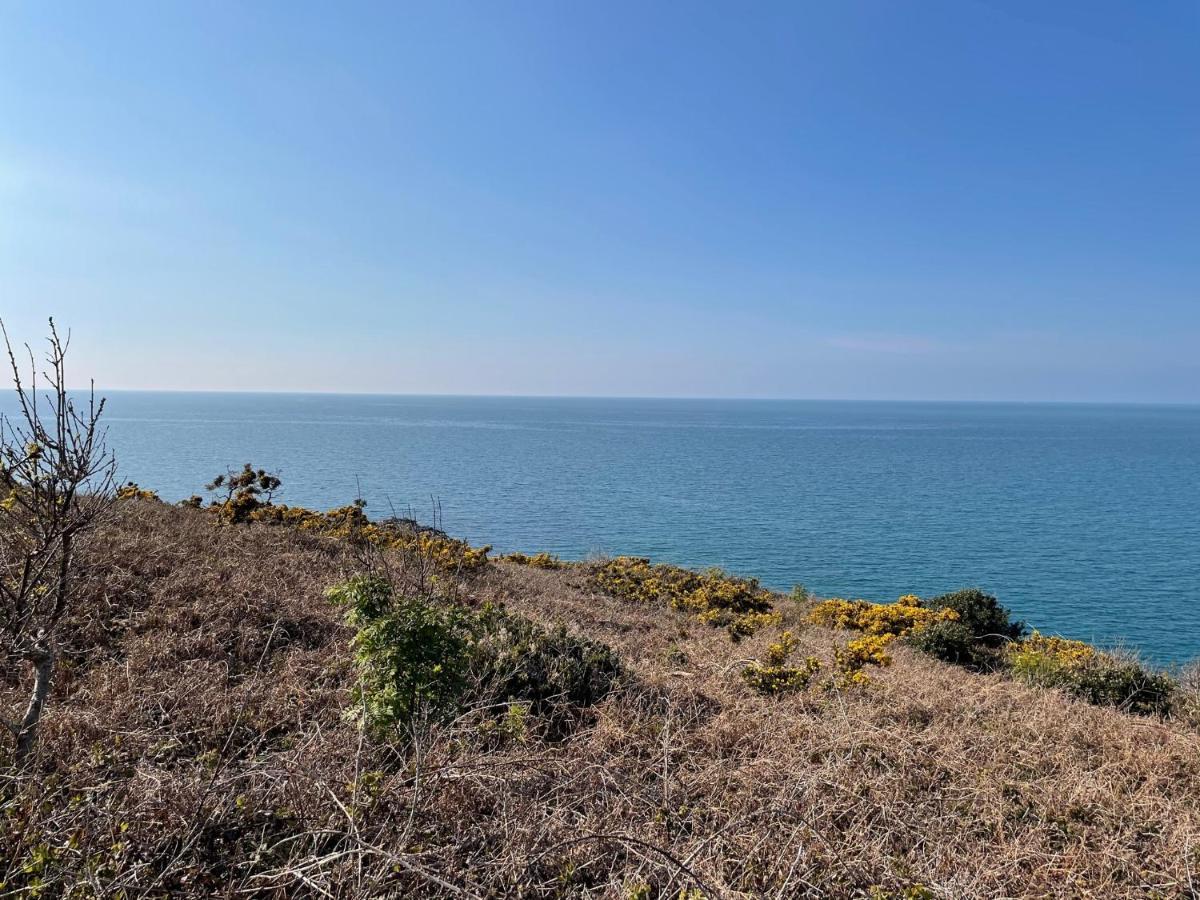 Au Petit Brick - Cosy Beachfront House Maupertus-sur-Mer Εξωτερικό φωτογραφία